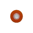 35X18X81 PU Bush - 4.webp