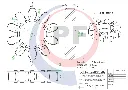 PR 75 Technical Detail Drawing.webp
